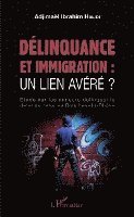 Ibrahim Halidi Adjimael - Délinquance et immigration, Häftad