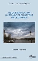 Issoufou Soulé Mouchili Njimom - De la signification du monde et du devenir de l'existence, Häftad