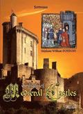 Twilight of Medieval Castles
