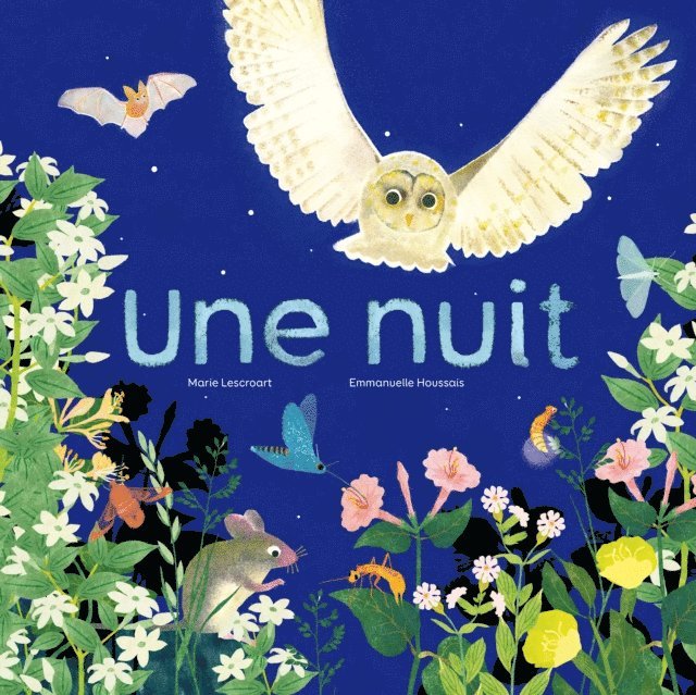 Emmanuelle Houssais, Marie Lescroart - Une nuit, E-bok