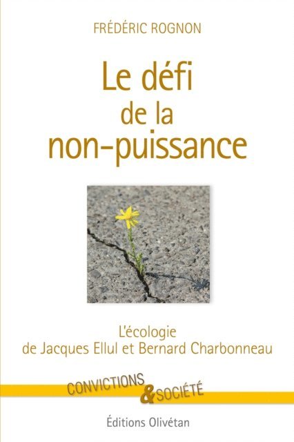 Frederic Rognon - Le défi de la non-puissance, E-bok
