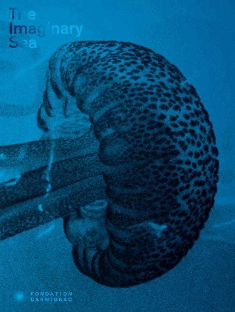 Chris al - Imaginary Sea, Inbunden