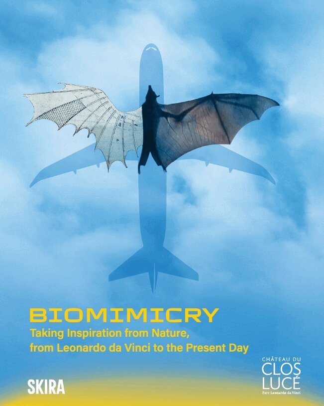 Pascal Brioist, Andrea Bernardoni - BIOMIMICRY, Inbunden. Tillgänglighet: Lägg i varukorg