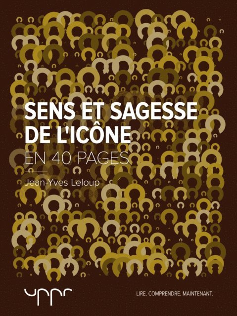 Jean-Yves LELOUP - Sens et sagesse de l'icône - En 40 pages, E-bok