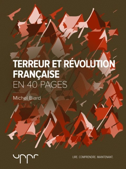 Michel Biard - Terreur et Révolution française, E-bok