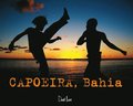 Capoeira Bahia - (Fr-Bres)