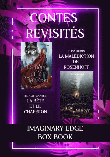 Elisa Rubin, Hedgye Canyon - Imaginary Edge Boxbook, E-bok
