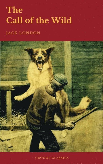 Jack London - The  Call of the Wild, E-bok
