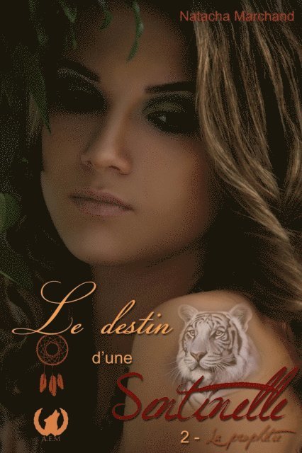 Natacha Marchand - Le destin d'une sentinelle - Tome 2, E-bok