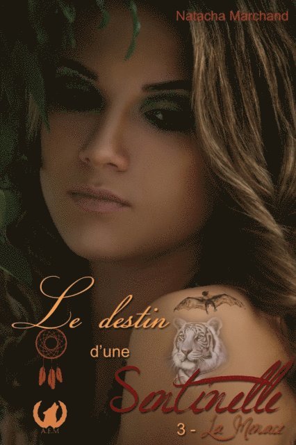 Natacha Marchand - Le destin d'une sentinelle - Tome 3, E-bok