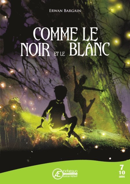Erwan Bargain - Comme le Noir et le Blanc, E-bok