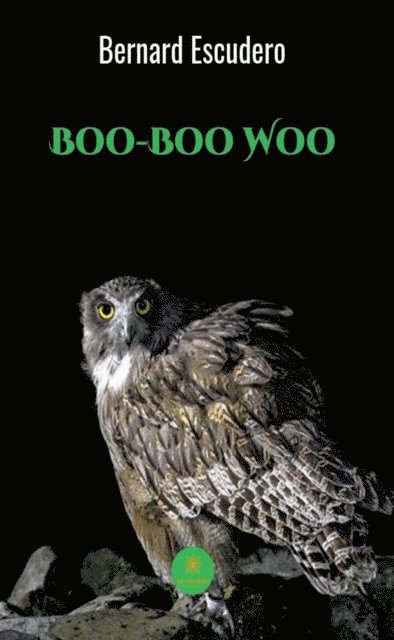 Bernard Escudero - Boo-Boo Woo, E-bok