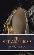 Metamorphosis