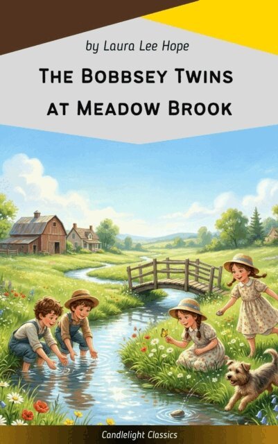 Laura Lee Hope - Bobbsey Twins at Meadow Brook, E-bok