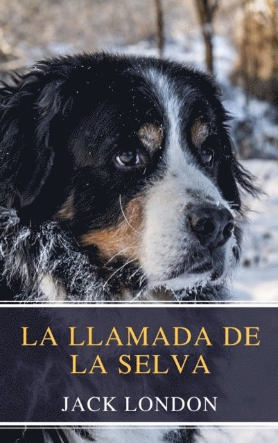 Jack London - La llamada de la selva, E-bok