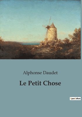 Alphonse Daudet - Petit Chose, Häftad