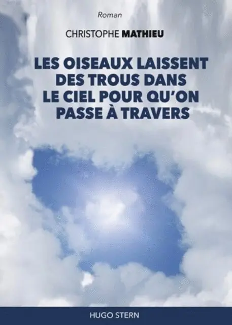 Christophe Mathieu - Les oiseaux laissent des trous dans le ciel pour qu'on passe à travers, E-bok. Tillgänglighet: Lägg i varukorg