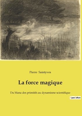 Pierre Saintyves - force magique, Häftad