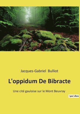 Jacques-Gabriel Bulliot - L'oppidum De Bibracte, Häftad. Tillgänglighet: Lägg i varukorg