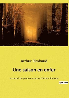Arthur Rimbaud - saison en enfer, Häftad