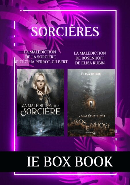 Elisa Rubin, Cecilia Perrot-Gilbert - Box Book IE editions : Sorcieres, E-bok