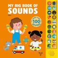 My Big Book of Sounds