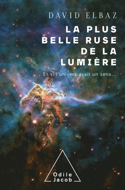 Elbaz David Elbaz - La plus belle ruse de la lumière, E-bok