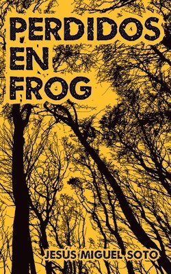 Jesús Miguel Soto - Perdidos en Frog, Häftad