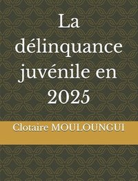 d�linquance juv�nile en 2025