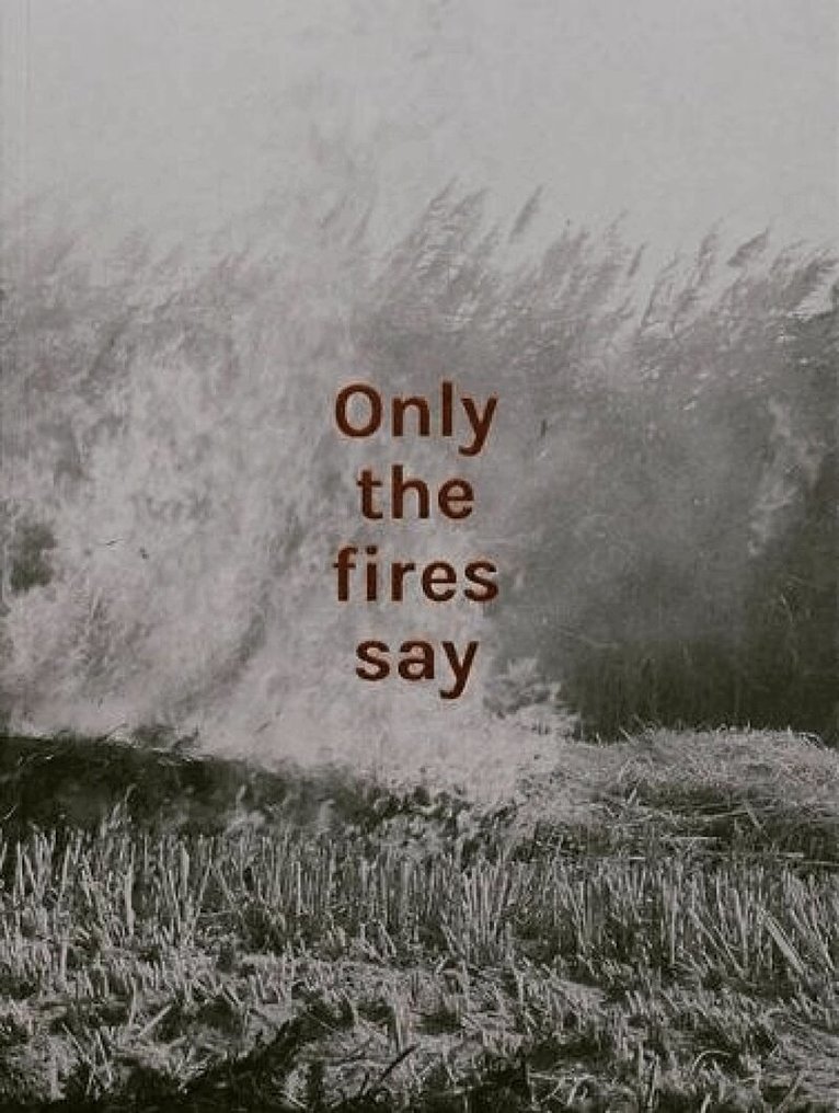 Alan Eglinton - Only the fires say, Häftad