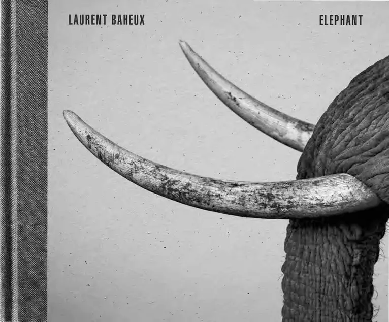 Laurent Baheux - Elephant, Inbunden. Tillgänglighet: Lägg i varukorg