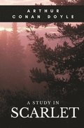 Study in Scarlet