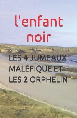 L'Enfant Noir - Les 4 Jumeaux Maléfique Et Les 2 Orphelin, Häftad
