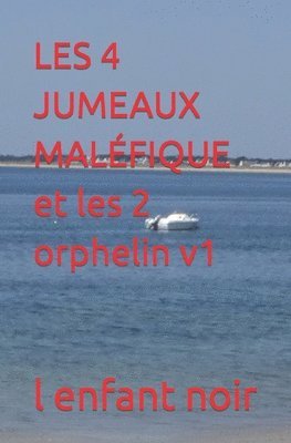 L Enfant Noir - LES 4 JUMEAUX MALÉFIQUE et les 2 orphelin v1, Häftad