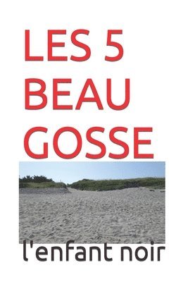 L'Enfant Noir - Les 5 Beau Gosse, Häftad