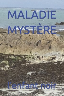 L'Enfant Noir - Maladie Mystère, Häftad