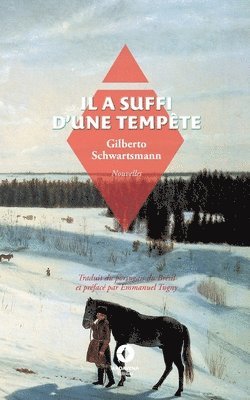 Gilberto Schwartsmann, Emmanuel Tugny - Il a suffi d'une tempête, Häftad