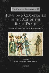 Mark Bailey, Stephen Rigby - Town and Countryside in the Age of the Black Death, Inbunden