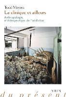 Todd Meyers - La Clinique Et Ailleurs: Anthropologie Et Therapeutique de l'Addiction, Häftad