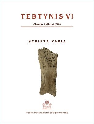 Claudio Gallazzi - Tebtynis VI: Scripta Varia, Häftad