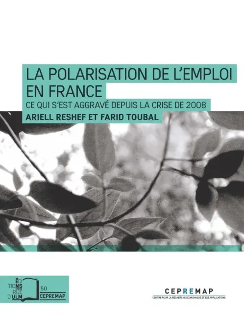 Farid Toubal, Ariell Reshef - La Polarisation de l'emploi en France, E-bok. Tillgänglighet: Lägg i varukorg