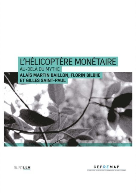 Alais MARTIN-BAILLON, Florin BILBIIE, Gilles Saint-Paul - L'Hélicoptère monétaire, E-bok