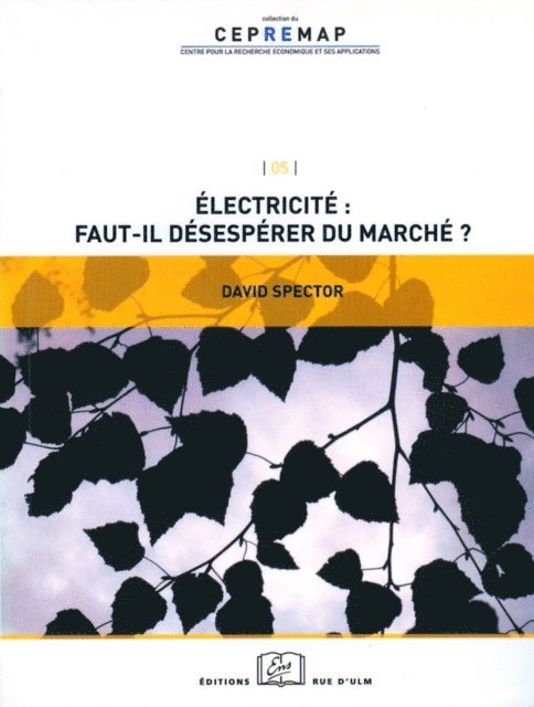 David Spector - Électricité : faut-il désespérer du marché ?, E-bok
