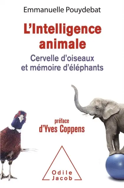 Emmanuelle Pouydebat - L' Intelligence animale, E-bok. Tillgänglighet: Lägg i varukorg