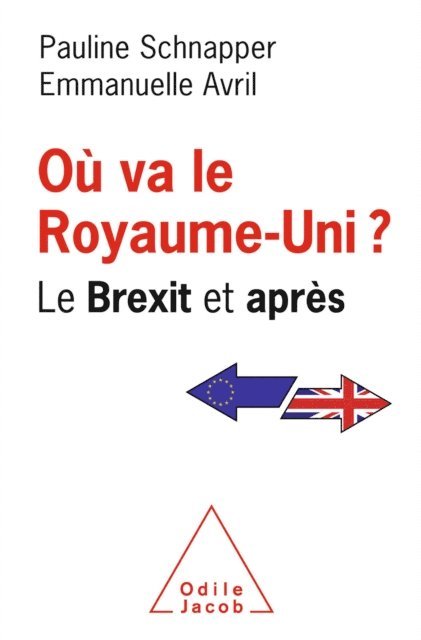 Emmanuelle Avril, Pauline Schnapper - Où va le Royaume-Uni ?, E-bok