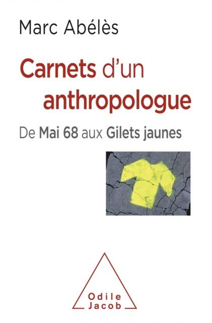 Marc Abeles - Carnets d'un anthropologue, E-bok