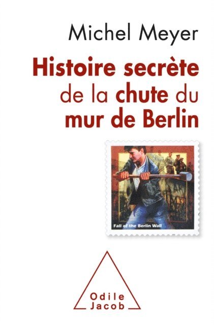 Michel Meyer - Histoire secrète de la chute du mur de Berlin, E-bok