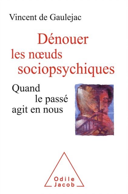 Vincent de Gaulejac - Dénouer les nœuds sociopsychiques, E-bok