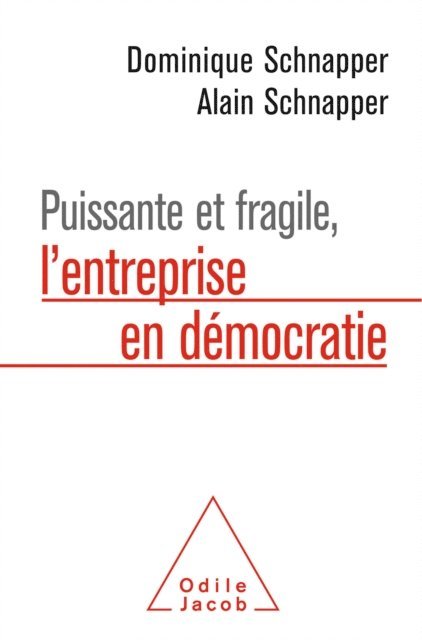 Alain Schnapper, Dominique Schnapper - Puissante et fragile, l'entreprise en démocratie, E-bok