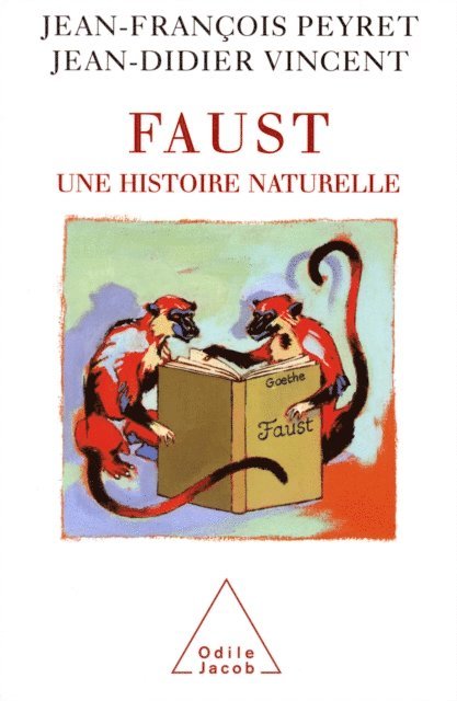 Jean-Didier Vincent, Jean-Francois Peyret - Faust, E-bok